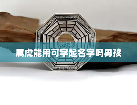 属虎能用可字起名字吗男孩