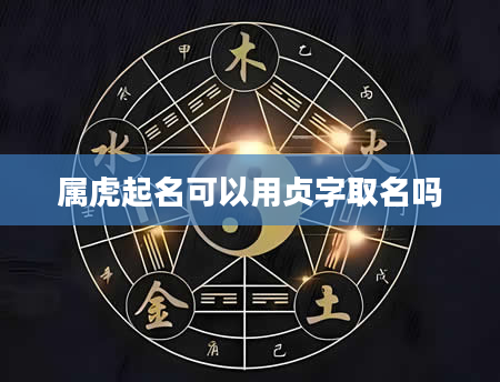 属虎起名可以用贞字取名吗