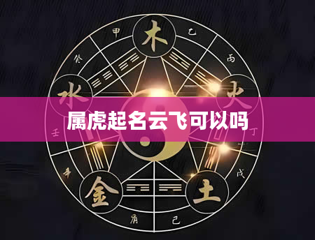 属虎起名云飞可以吗
