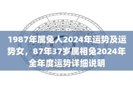1987年属兔人2024年运势及运势女，87年37岁属相兔2024年全年度运势详细说明