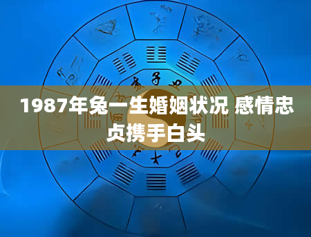 1987年兔一生婚姻状况 感情忠贞携手白头