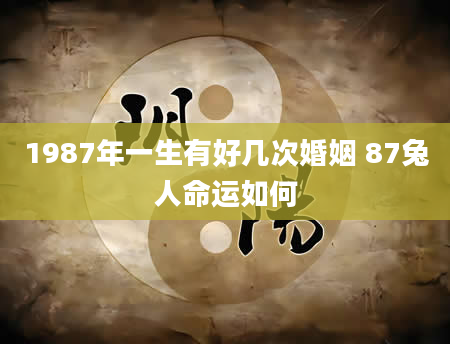 1987年一生有好几次婚姻 87兔人命运如何