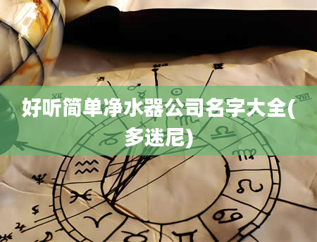 好听简单净水器公司名字大全(多迷尼)