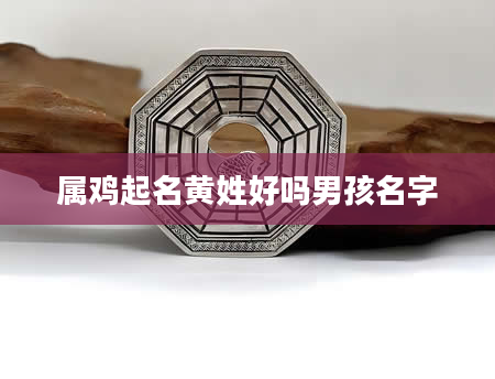 属鸡起名黄姓好吗男孩名字