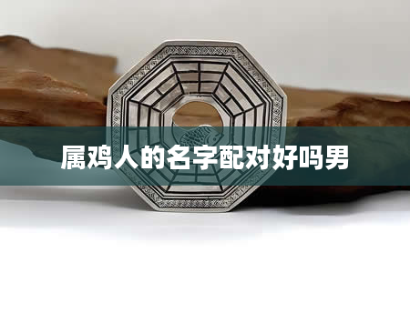 属鸡人的名字配对好吗男