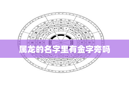 属龙的名字里有金字旁吗