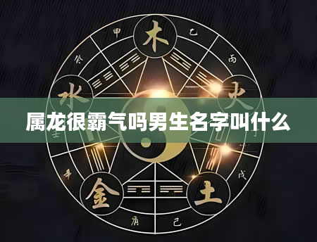 属龙很霸气吗男生名字叫什么