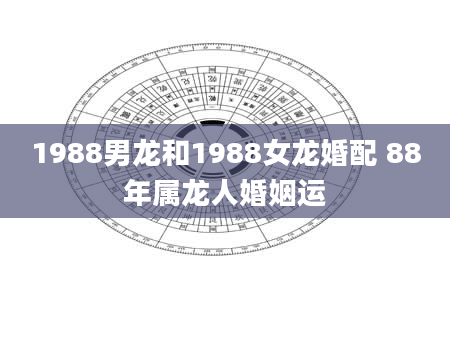 1988男龙和1988女龙婚配 88年属龙人婚姻运