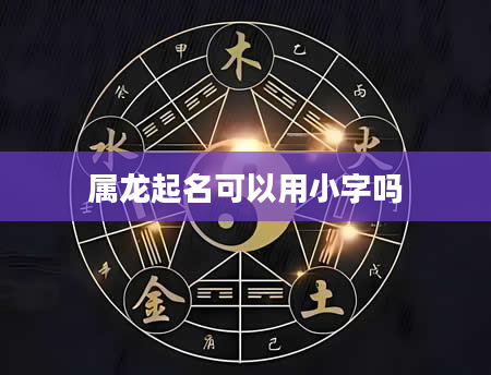 属龙起名可以用小字吗