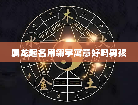 属龙起名用翎字寓意好吗男孩