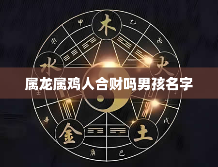 属龙属鸡人合财吗男孩名字