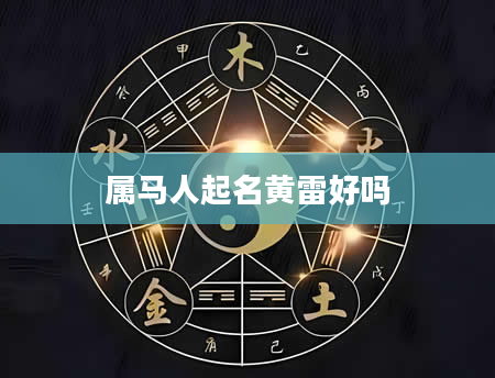 属马人起名黄雷好吗