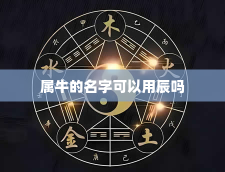 属牛的名字可以用辰吗