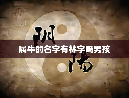属牛的名字有林字吗男孩