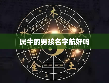 属牛的男孩名字航好吗