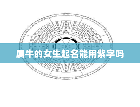 属牛的女生起名能用紫字吗
