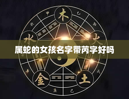 属蛇的女孩名字带芮字好吗