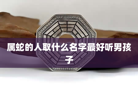 属蛇的人取什么名字最好听男孩子