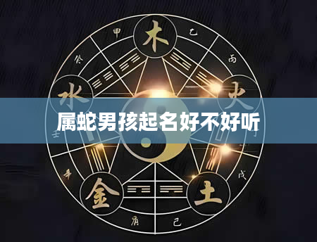 属蛇男孩起名好不好听