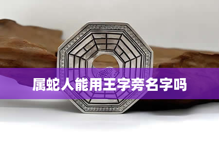 属蛇人能用王字旁名字吗