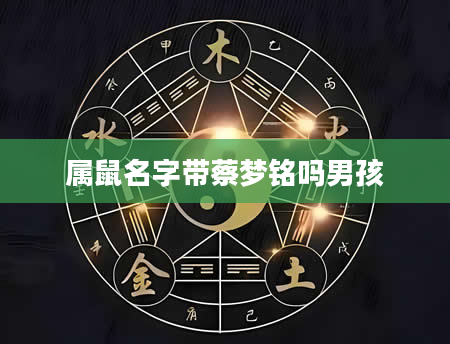 属鼠名字带蔡梦铭吗男孩