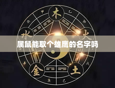属鼠能取个雄鹰的名字吗