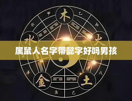属鼠人名字带懿字好吗男孩