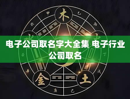 电子公司取名字大全集 电子行业公司取名
