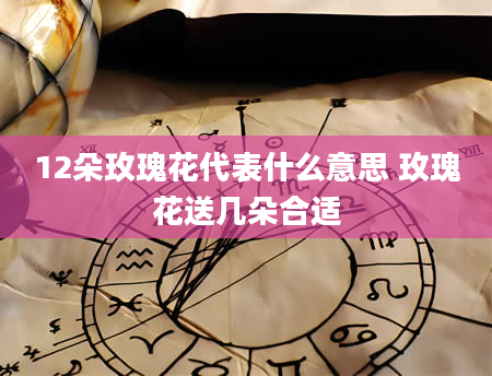 12朵玫瑰花代表什么意思 玫瑰花送几朵合适