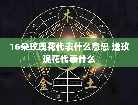 16朵玫瑰花代表什么意思 送玫瑰花代表什么