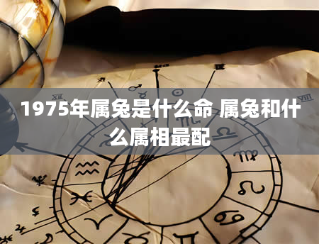 1975年属兔是什么命 属兔和什么属相最配