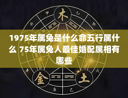 1975年属兔是什么命五行属什么 75年属兔人最佳婚配属相有哪些