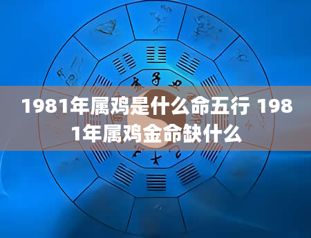 1981年属鸡是什么命五行 1981年属鸡金命缺什么
