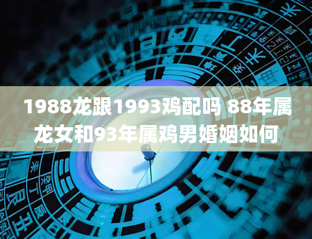 1988龙跟1993鸡配吗 88年属龙女和93年属鸡男婚姻如何