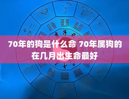 70年的狗是什么命 70年属狗的在几月出生命最好