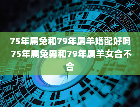 75年属兔和79年属羊婚配好吗 75年属兔男和79年属羊女合不合