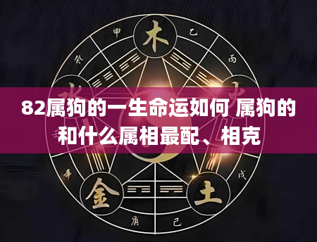 82属狗的一生命运如何 属狗的和什么属相最配、相克