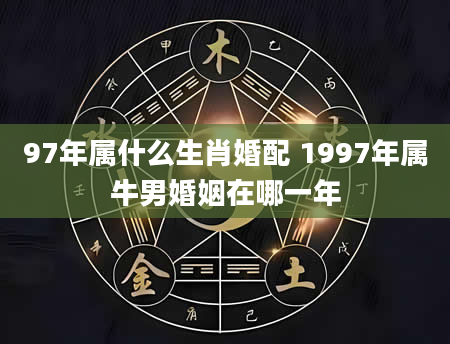 97年属什么生肖婚配 1997年属牛男婚姻在哪一年