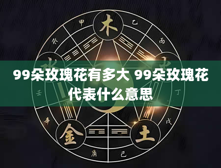 99朵玫瑰花有多大 99朵玫瑰花代表什么意思