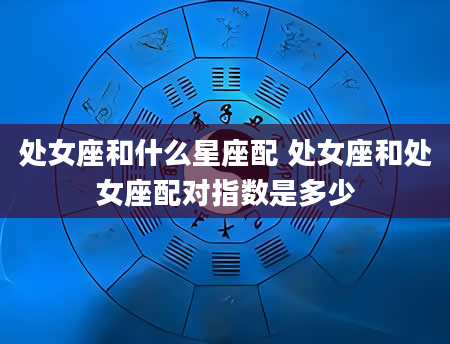 处女座和什么星座配 处女座和处女座配对指数是多少