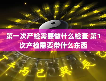 第一次产检需要做什么检查 第1次产检需要带什么东西
