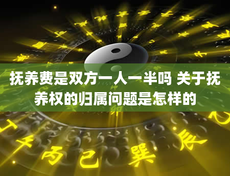 抚养费是双方一人一半吗 关于抚养权的归属问题是怎样的