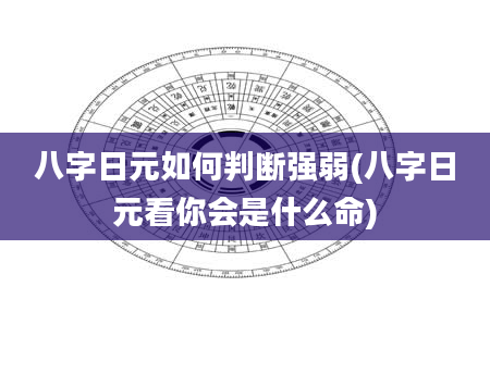 八字日元如何判断强弱(八字日元看你会是什么命)