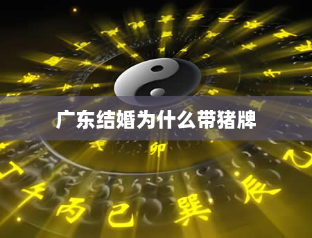 广东结婚为什么带猪牌