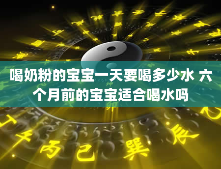 喝奶粉的宝宝一天要喝多少水 六个月前的宝宝适合喝水吗