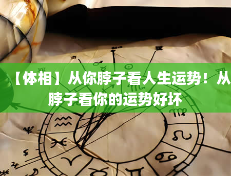 【体相】从你脖子看人生运势！从脖子看你的运势好坏