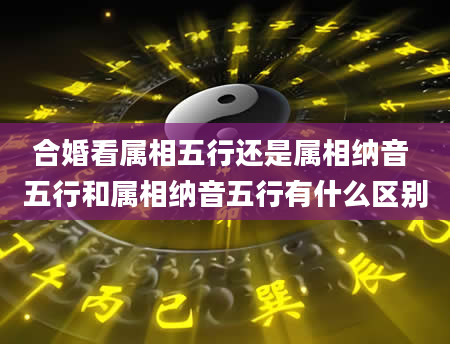 合婚看属相五行还是属相纳音 五行和属相纳音五行有什么区别
