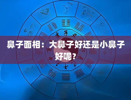 鼻子面相：大鼻子好还是小鼻子好呢？