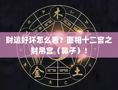 财运好坏怎么看？面相十二宫之财帛宫（鼻子）！