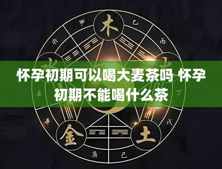 怀孕初期可以喝大麦茶吗 怀孕初期不能喝什么茶